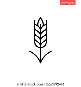 Black single ears of wheat line icon, simple natural food graphic flat design pictogram, infographic vector for app logo web button ui ux interface elements isolated on white background