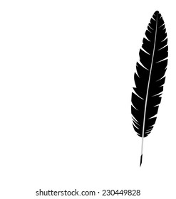 Black single feather isolated on white background