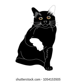 
Black sitting cat with raised white paw and white ear, vector