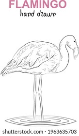 Black sketch of flamingo.  Minimalistic style