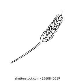 Black sketch hand drawn wheat stalk on white background