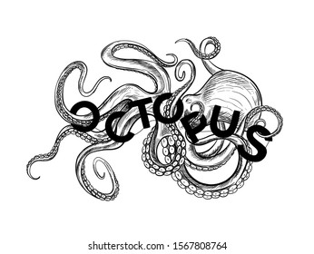 Black sketch of octopus twisted with word OCTOPUS, hand drawn vector illustration