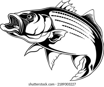 black sketch ornament vector design for your image reference