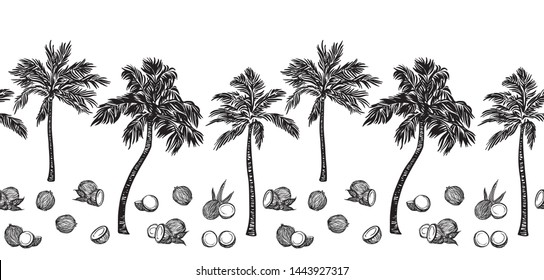 Black sketch palm tree and coconut outline horizontal seamless border. Vector drawing coco plants. Hand drawn endless illustration, isolated on white background.