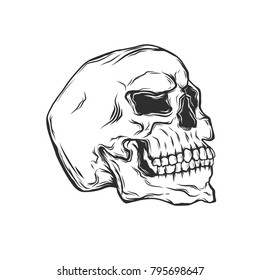 Black skull isolated on white background.Vector illustartion.