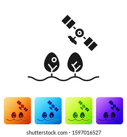 Black Smart farm with drone control and tree icon isolated on white background. Innovation technology for agricultural company. Set icons in color square buttons. Vector Illustration