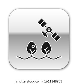Black Smart farm with drone control and tree icon isolated on white background. Innovation technology for agricultural company. Silver square button. Vector Illustration