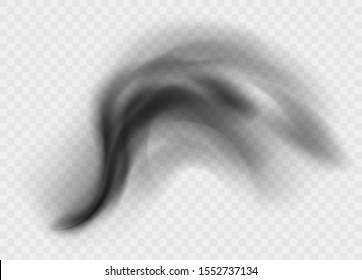 Black smoke cloud isolated on transparent background. Black cloudiness or smog. Realistic dark vector effect.