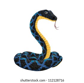 black snake