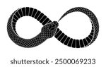 Black snake bites its tail in the form of infinity sign. Ouroboros symbol illustration. Vector serpent tattoo design isolated on white background.