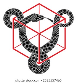 La serpiente negra muerde su cola en forma de un nudo triquetra entretejido con un marco de forma cúbica.
Ilustración de símbolo de ouroboros triangular. Diseño aislado del tatuaje de la serpiente del Vector.