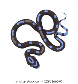 Black snake with blue patches isolated on white background. Exotic legless reptile, venomous predator, wild carnivorous animal. Fauna of desert or tropical jungle. Flat cartoon vector illustration.