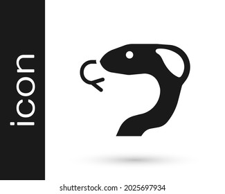 Black Snake icon isolated on white background.  Vector