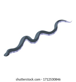Black snake icon. Isometric of black snake vector icon for web design isolated on white background