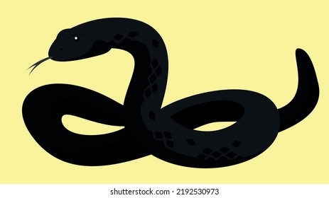 black snake on yellow background
