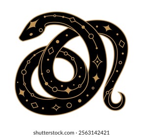 Black snake silhouette with golden geometric design elements. Symbol of Chinese New Year 2025. Vector illustration isolated on transparent background