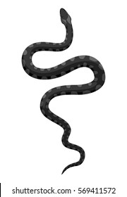 Black snake silhouette vector