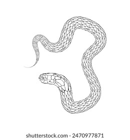 black snake, silhouette, vector outline, symbol 2025, isolated on white background