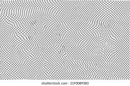 Black snake skin pattern isolated on white background vector