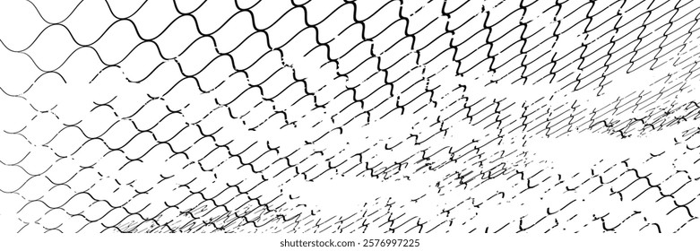 Black snake skin pattern isolated on white background vector