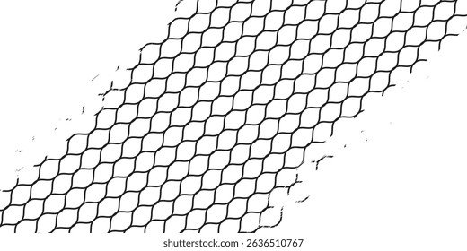 Black snake skin pattern isolated on white background vector
