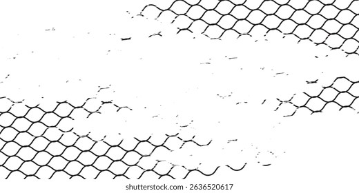 Black snake skin pattern isolated on white background vector