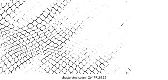 Black snake skin pattern isolated on white background eps 10	