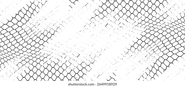 Black snake skin pattern isolated on white background eps 10	