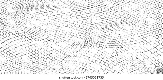 Black snake skin pattern isolated on white background eps 10	
