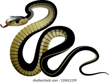 black snake. vector illustration