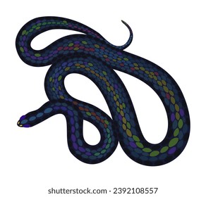 Black snake. Vector isolated illustration.