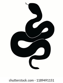 black snake vector piton