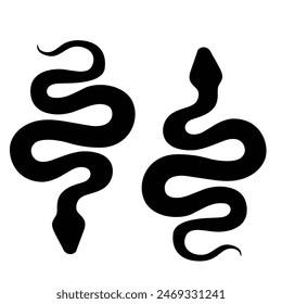 black snake with white background vector illustrator