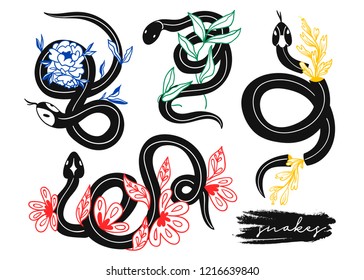 Black snakes and colored flowers. Hand drawn vector set. All elements are isolated