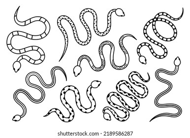 Black snakes silhouettes. Tropical toxic reptiles illustration. Dark hand drawn poisonous snakes for tattoo design. Dangerous exotic rattlesnakes