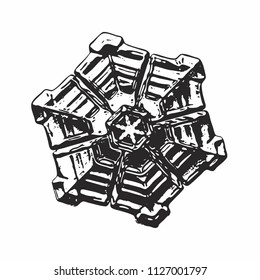 Black snowflake on white background. This vector illustration based on macro photo of real snow crystal: tiny sectored plate with simple hexagonal shape and complex, relief inner structure.