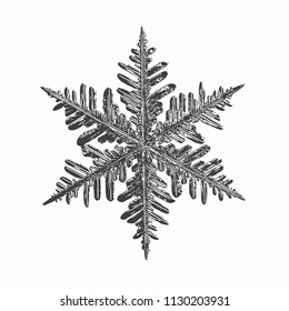 Black snowflake on white background. This vector illustration based on real snow crystal macro photo: large stellar dendrite with fine hexagonal symmetry, complex structure and elegant shape.