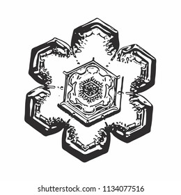 Black snowflake on white background. This vector illustration based on macro photo of real snow crystal: small star plate with simple hexagonal shape and unusually complex inner pattern for such size.