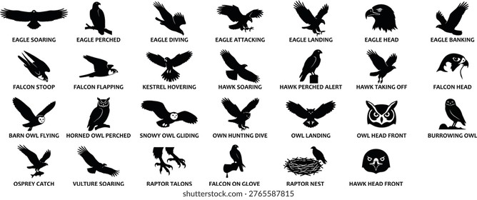 Black solid silhouette icon set depicting 24 raptor flight actions. Includes eagles, falcons, hawks, owls, and vultures in dynamic poses. Ideal for wildlife apps, birdwatching guides, and nature education materials.