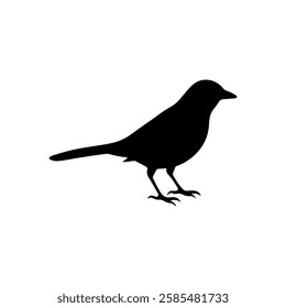 Black Sparrow silhouette vector illustration on white background