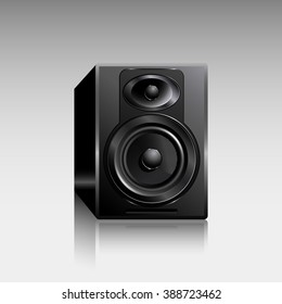 Black speaker