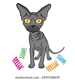 black sphynx hairless exotic cat illustration vector with his spring toys looking at you