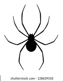 Black Spider