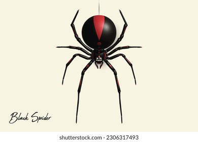 Black Spider 3D Cartoon,Animation,Insect world,Bugs,Illustration,Education,Nature,Animal.