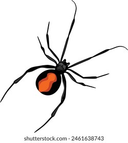 Black Spider Arthropod Animal Vector