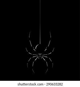 Black spider background