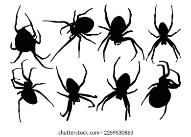 Black Spider Design Illustration Vector