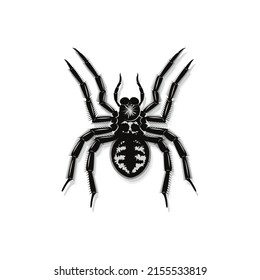 black spider design, vector illustration