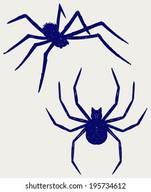 Black spider. Doodle style