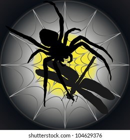 black spider with dragonfly